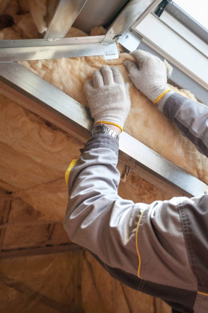 Professional Insulation Contractor in Leipsic, OH