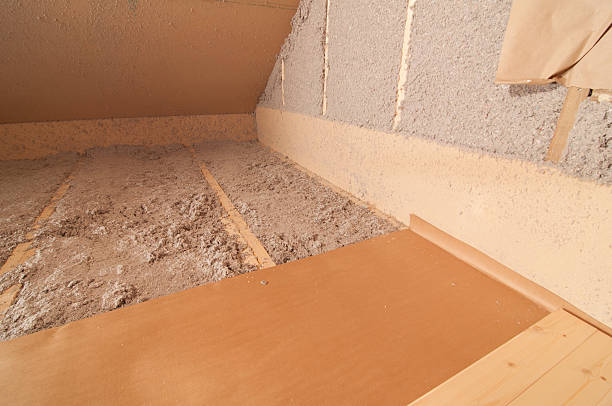 Best Eco-Friendly Insulation in Leipsic, OH